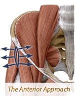 The Anterior Approach